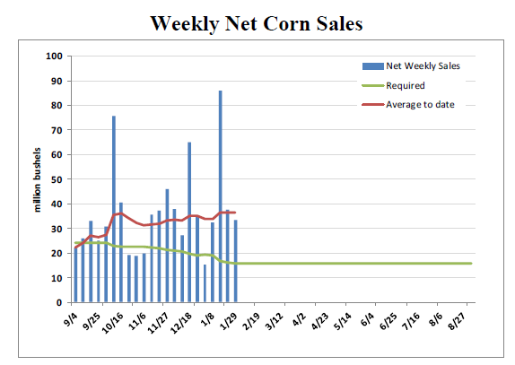 Grain Markets Weekly Net Corn Sales