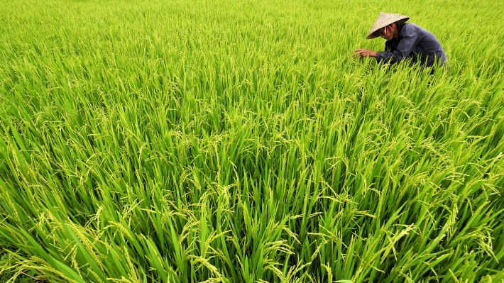 fast_facts_about_agri