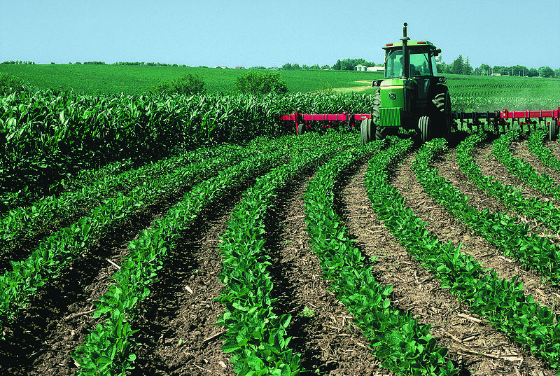 farmland