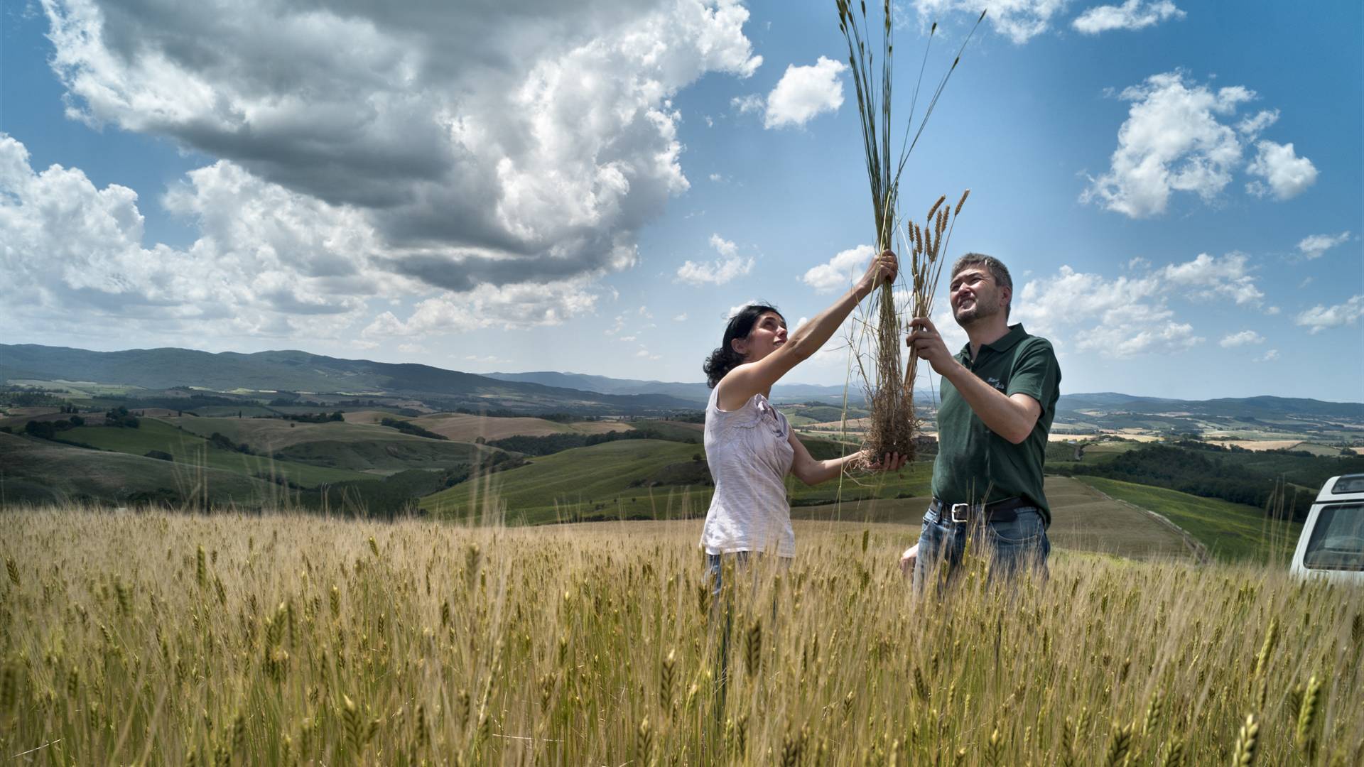 grainfarming