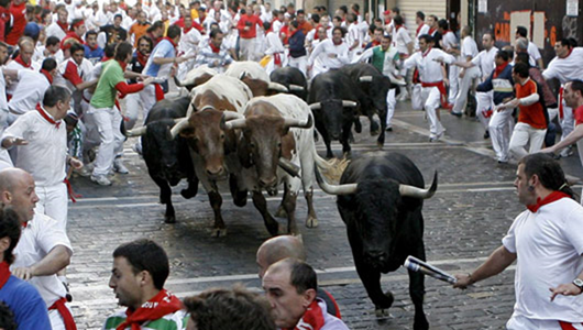 Grain Markets Bull Festival