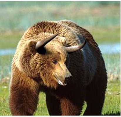 Grain Markets Bull Bear