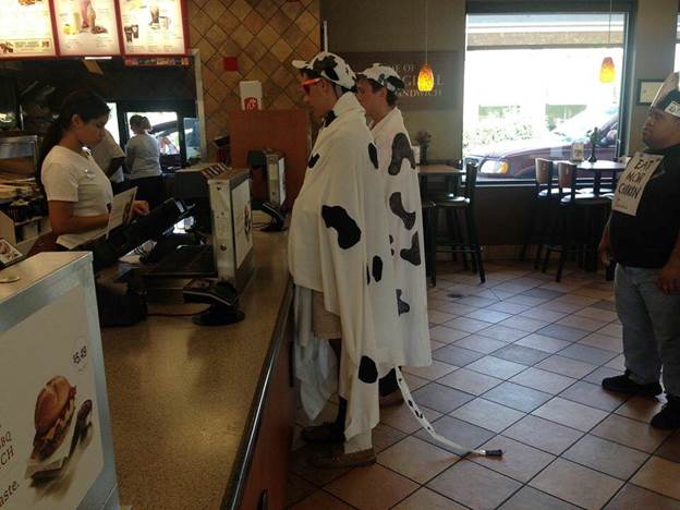Grain Markets Cow Costume